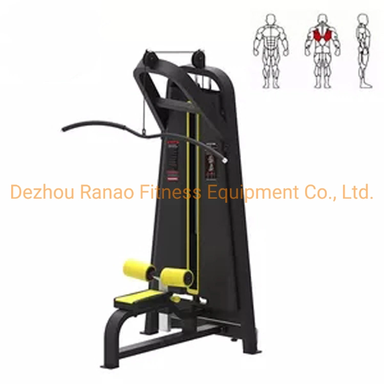 Wholesale Training Back Muscle Group Commercial Fitness Lat Pull Down Sports Equipment